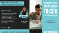 Mindfree Danışmanlık