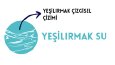 Bazı Logo Tasarımlarım