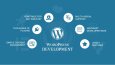 Wordpress İle Web Sitesi Tasarımının Gücü