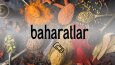 Banner Tasarımlarımız 
