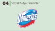 Domestos, Tudors ve Birçok Firma İçin Tasarımlar