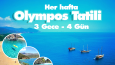 Sosyal Medya Tasarımı