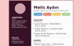 Profesyonel ve modern CV tasarım portfolyosu