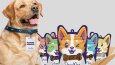 PAWMAX PET AMBALAJ TASARIMI
