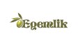 Logo Tasarımı