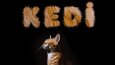 Kedi Post