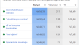Rüya Gelişim Özel Eğitim Google Ads