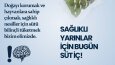 MBG Türkiye için yapmış olduğum story tasarımı