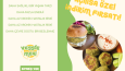 veggie meal konsept bröşür tasarımı