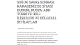 Özgün içerikli akademik nitelikli içerik örneği