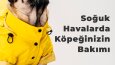 Sosyal medya görselleri