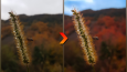 Fotoğraf Düzenlemesi 