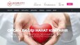 Profesyonel Web site tasarımı 