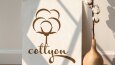 Cottyon Logo Design