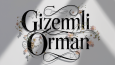 Örnek Tasarımlarım