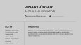 profesyonel cv hazırlama ve tasarımı