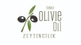 Sizin için en doğru logo tasarımları