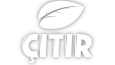 Logo tasarımları