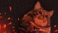 evcil hayvan yağlı boya tarzında tablo(dijital)