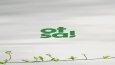 MOTION GRAPHICS