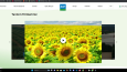 Profesyonel Web Sitesi & Uygulamaları Tasarımı