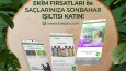 Grafik Tasarımları 