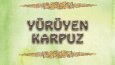 Profesyonel Ödüllü Illustrator, Çizer