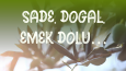 Akhisar Yağ Diyarı Post Tasarımı