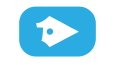 Profesyonel Logo Portfolyo CALİFORNİA 👇