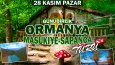 Eral Yiğit Tur-Afiş tasarımı