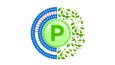 Polisome Logo