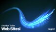 Anahtar Teslim Web Sitesi