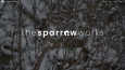 The Sparrow Works - Ads Agency