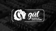Logofolio