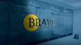 Brave Cyrpto and Coin
