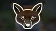 Foxox - Örnek Şirket Logo Tasarımı