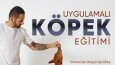 Sosyal Medya Reklam ve Post Tasarımları