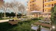 Xeriscape Projects