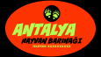 Yapay Zeka Logo Tasarım