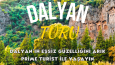 Seyahat Acentası Tasarım