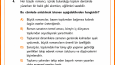 Soru yazarlığı