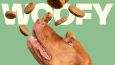 Woofy - Afiş Tasarımı