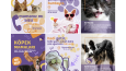 Mascota - Petshop Instagram