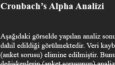 SPSS ile Veri Analizi