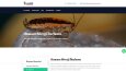 İlaçlama Web Sitesi - liderantalyailaclama.com