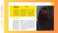 SANAT ESERLERİ TEMALI KATALOG TASARIMI