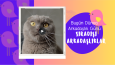 örnek reklam, banner çalışmalarım