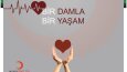 Afiş, billboard tasarımlarım
