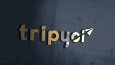 Yapılan Logo Tasarımları