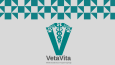 VetaVita-Modern Kartvizit Tasarımı